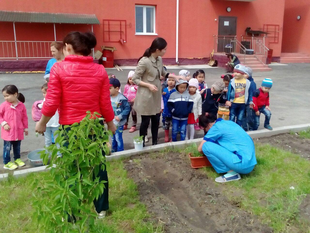 Баубақшадағы еңбек