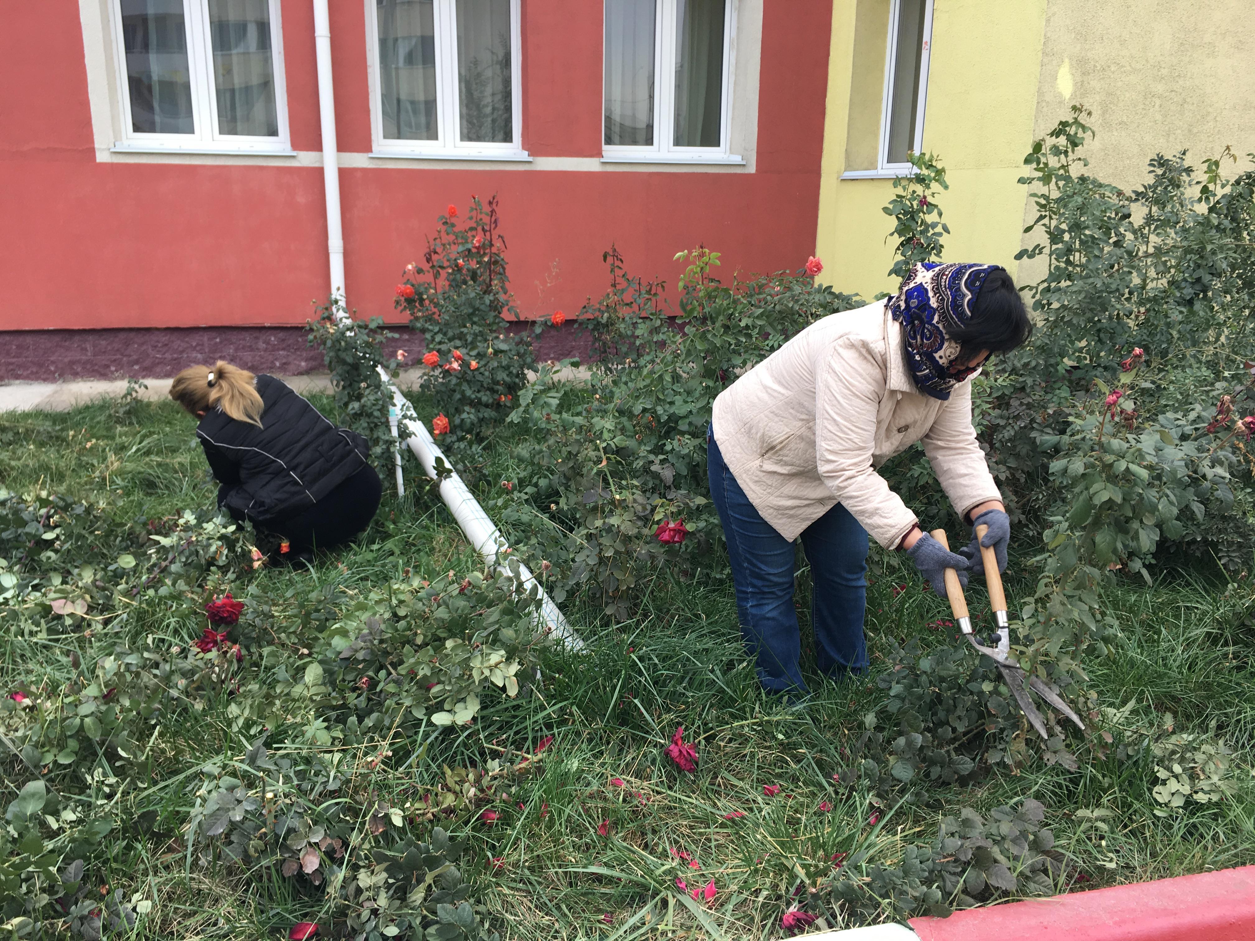 Қалалық сенбілік