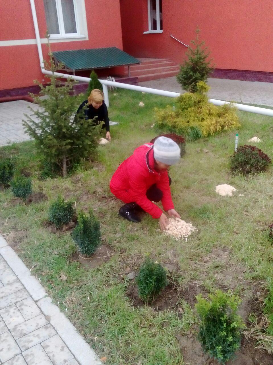 Күзгі сенбілік