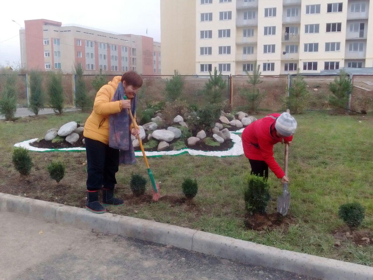 Күзгі сенбілік